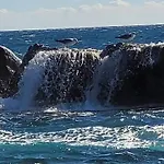 Au Paradis * Saint-Raphael (Var)