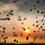 Apartment Au Paradis